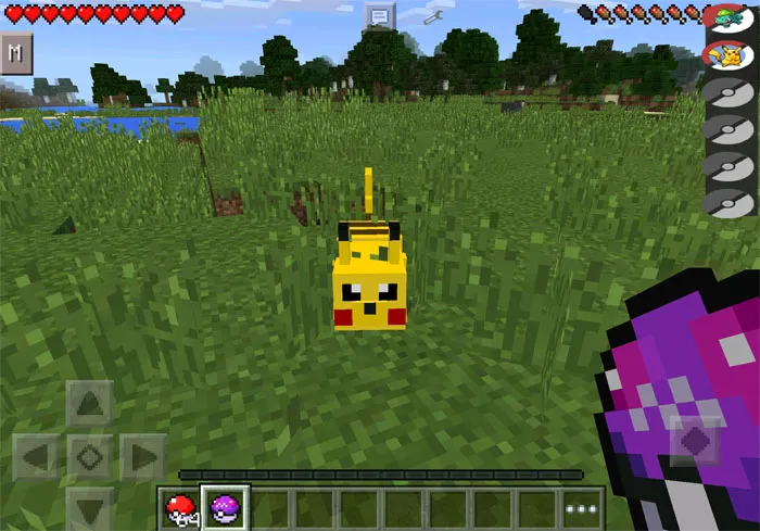 Pixelmon — Minecraft mod, rasm 1