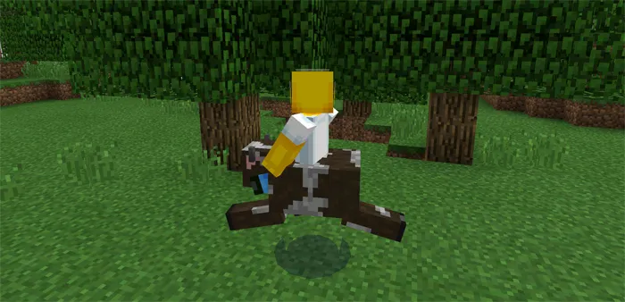 Switch Mod — Minecraft mod, rasm 3