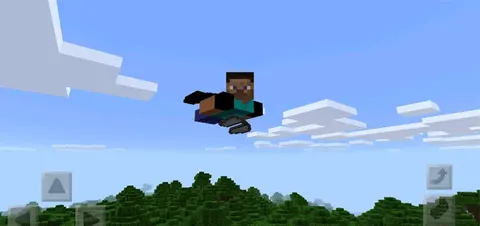 Elytra Wings Mod