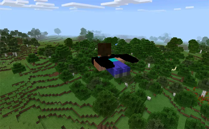 Elytra Wings Mod — Minecraft mod, rasm 2