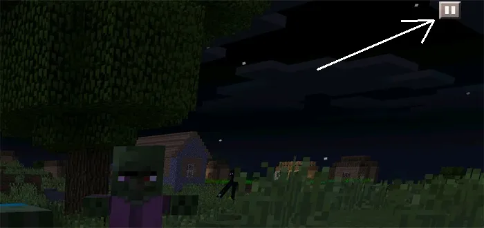 Pause — Minecraft mod, rasm 2