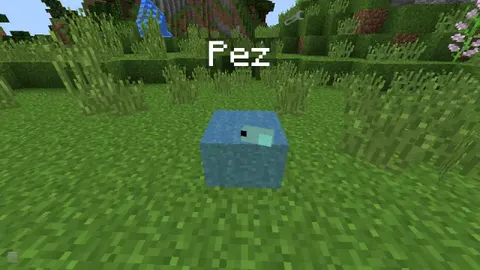 Pez