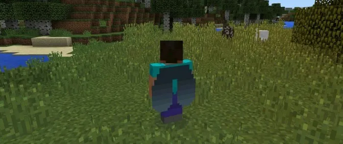 Elytra PE — Minecraft mod, rasm 2