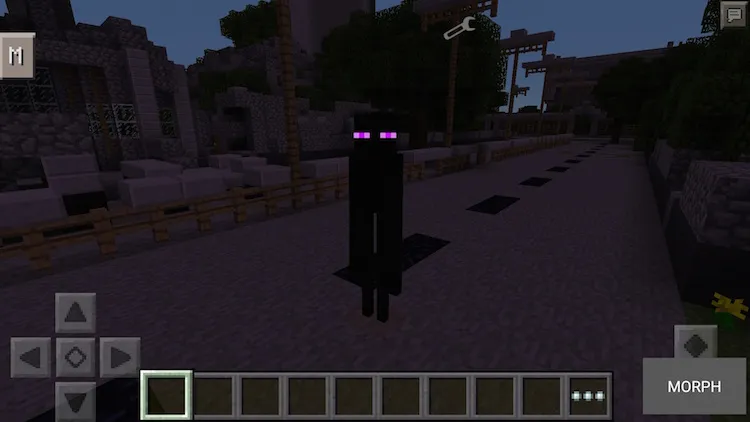 Morph — Minecraft mod, rasm 2