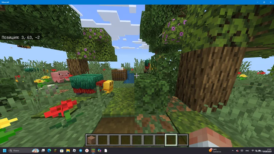 Orol — Minecraft xarita, rasm 2