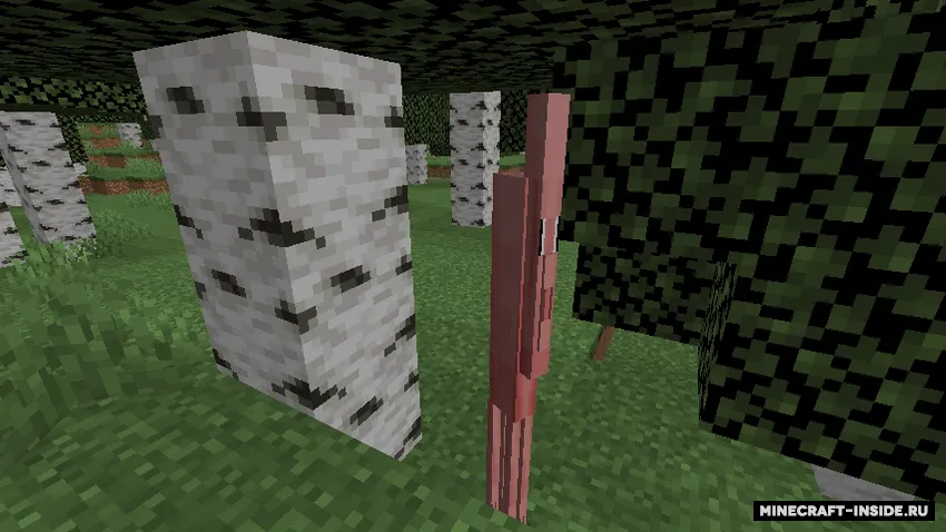 Size Changing Devices — Minecraft mod, rasm 2