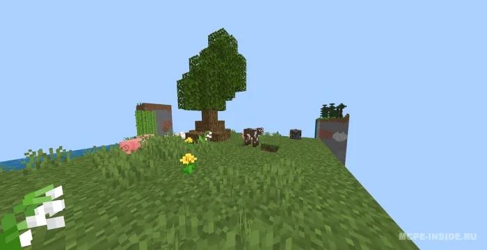 1 ta chankda omon qolish — Minecraft xarita, rasm 2