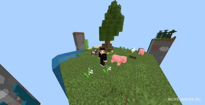 1 ta chankda omon qolish — Minecraft xarita, rasm 3