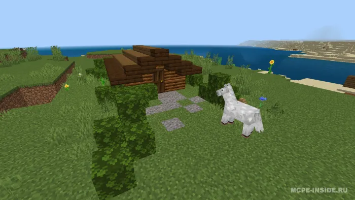 Suv osti uyi — Minecraft xarita, rasm 1