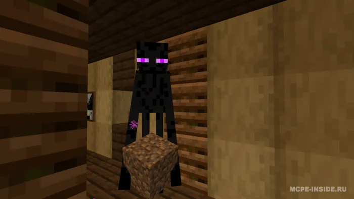 Suv osti uyi — Minecraft xarita, rasm 4