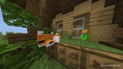 O'rmon uyi
