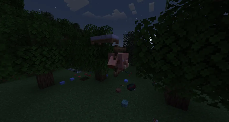 Item placer — Minecraft mod, rasm 6