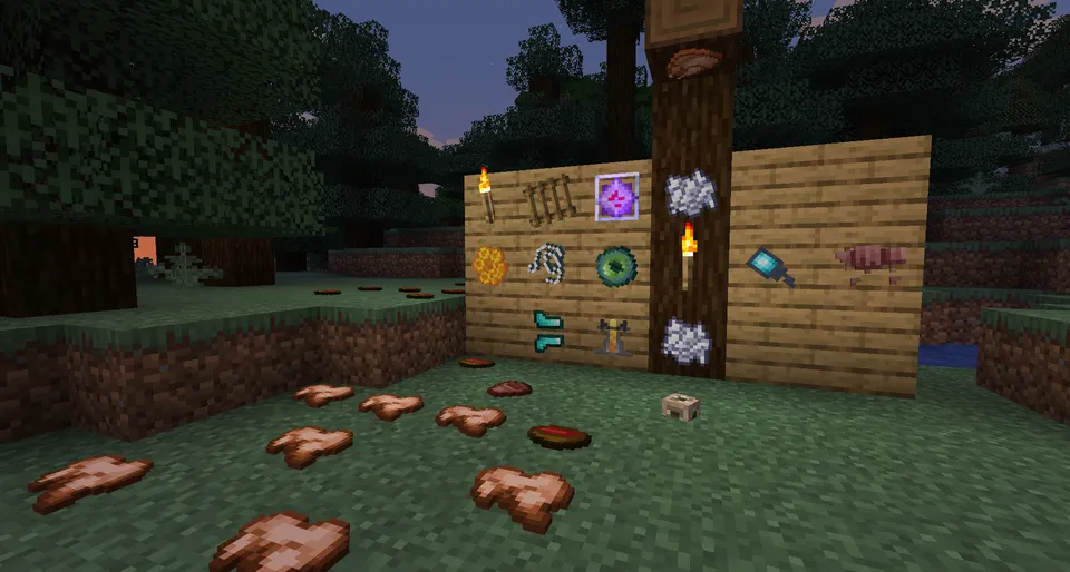 Item placer — Minecraft mod, rasm 7