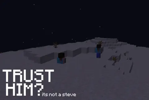 It's Not A Steve