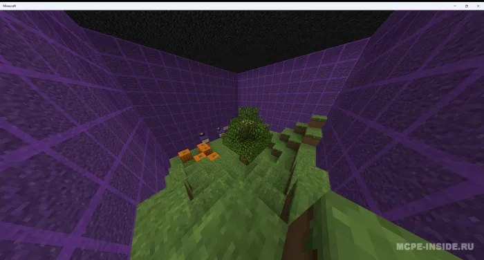 Chaqiriq — Minecraft xarita, rasm 3
