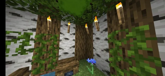 6X6 Qochish xaritasi — Minecraft xarita, rasm 1
