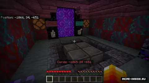 Faqat Nether'da omon qolish
