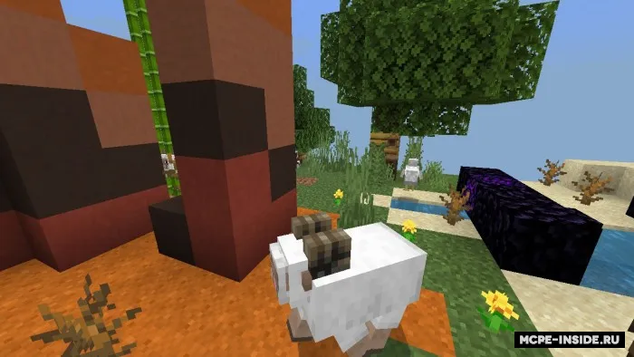 Chank sinovi — Minecraft xarita, rasm 2
