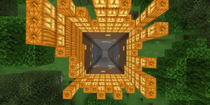 Jahon parkuri — Minecraft xarita, rasm 3