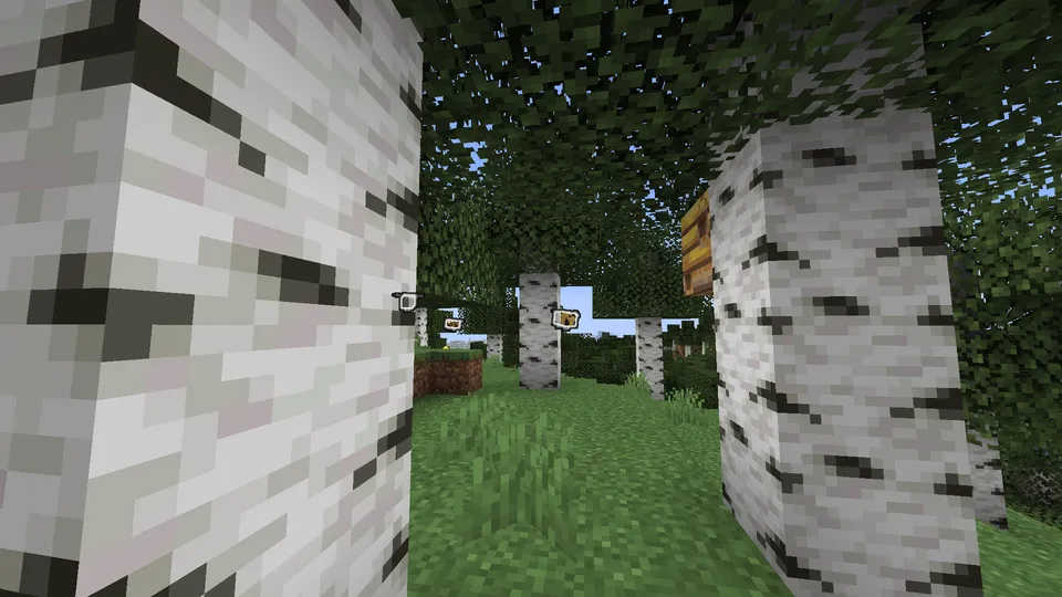 Re:Entity Outliner — Minecraft mod, rasm 2
