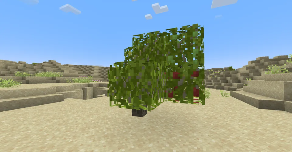 Desertification — Minecraft mod, rasm 4