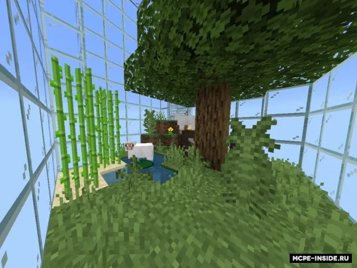 Shishadagi biomlar — Minecraft xarita, rasm 1