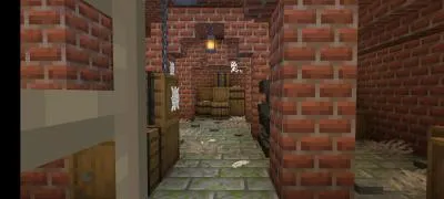 FIND_2 — Minecraft xarita, rasm 1
