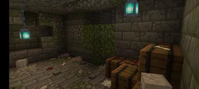 FIND_2 — Minecraft xarita, rasm 2