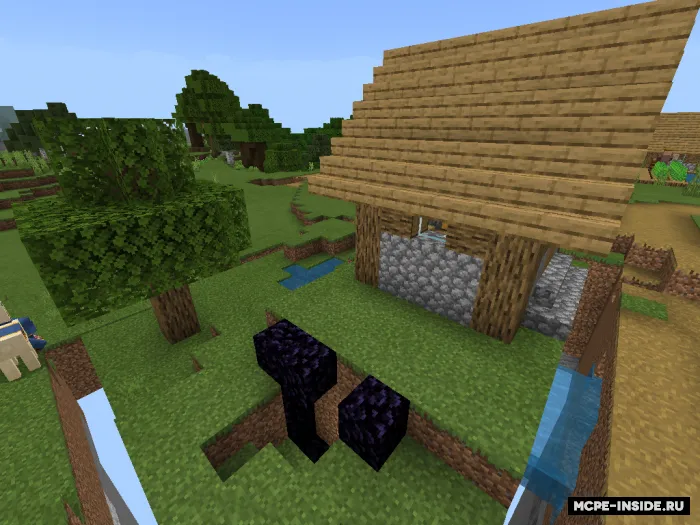 1 chank — Minecraft xarita, rasm 1