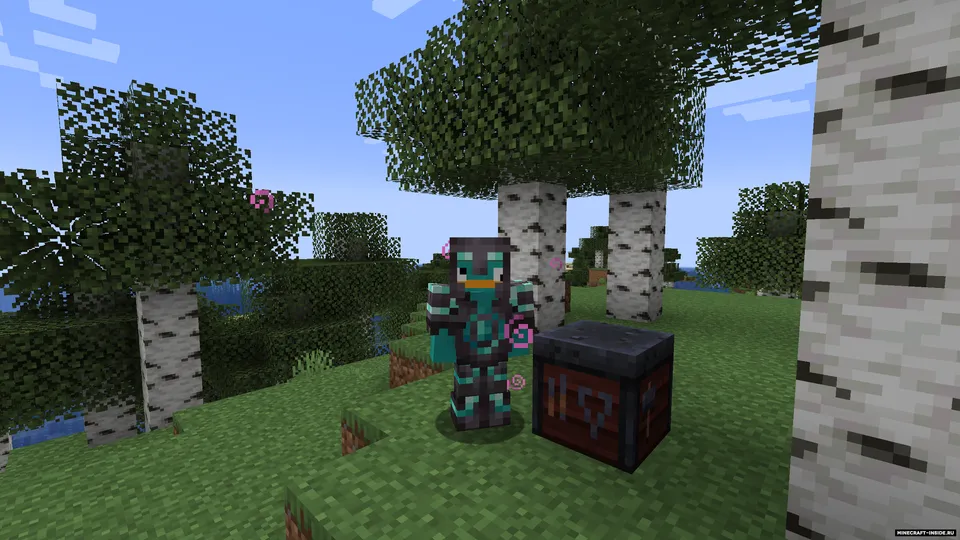 TrimsEffects — Minecraft mod, rasm 4