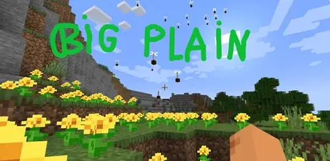 Big Plain
