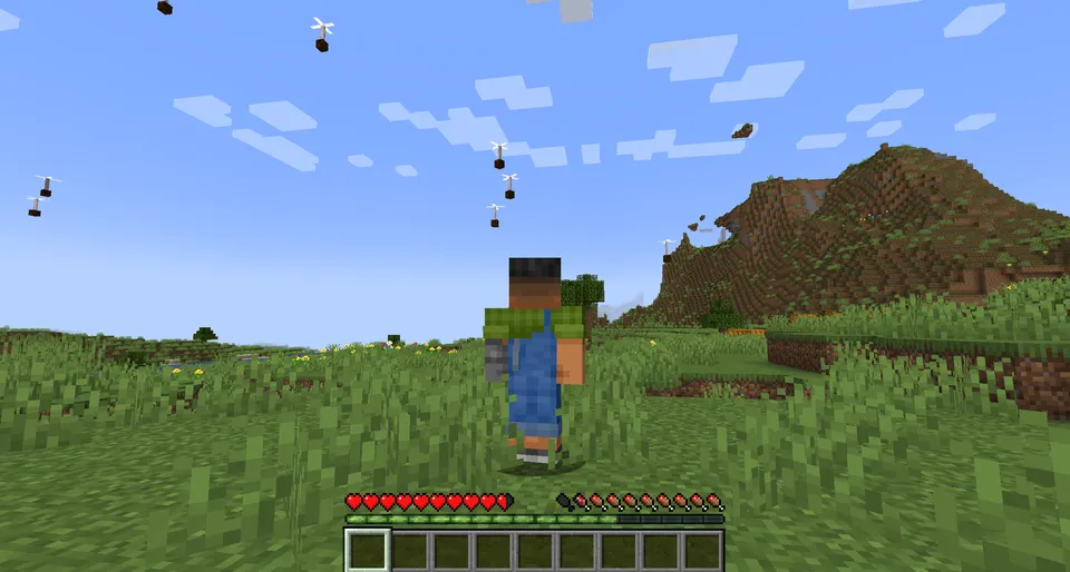 Big Plain — Minecraft mod, rasm 2