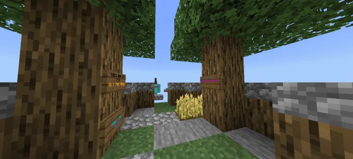 Katta uydagi parkur — Minecraft xarita, rasm 2