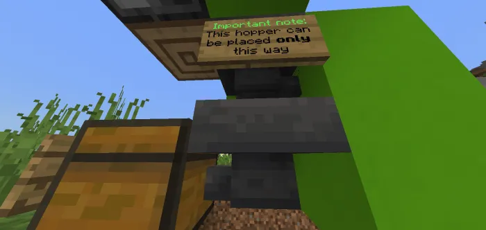 Asal fermasi — Minecraft xarita, rasm 2