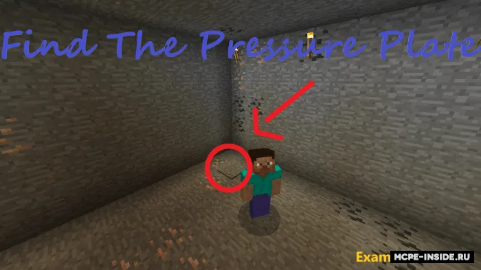 Bosim plitasini toping — Minecraft xarita, rasm 1