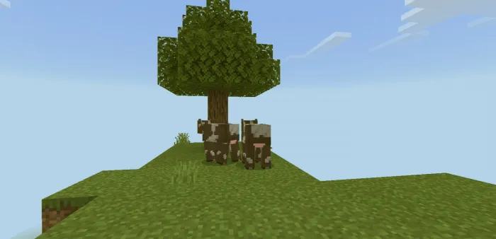 Biomli skyblock — Minecraft xarita, rasm 2