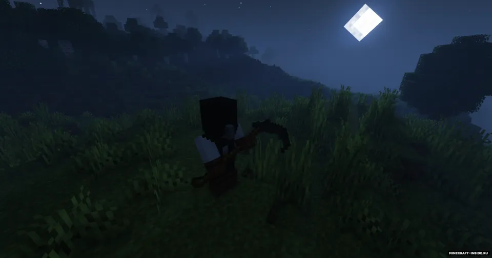 Cult of the Wither — Minecraft mod, rasm 4