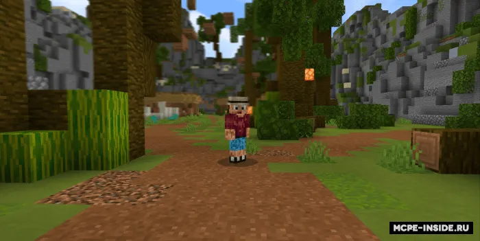Muzey — Minecraft xarita, rasm 3