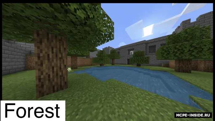 Raid 2020 — Minecraft xarita, rasm 2