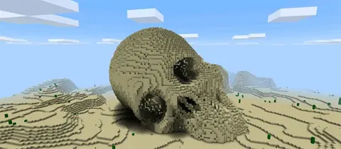 Ancient Human Skull