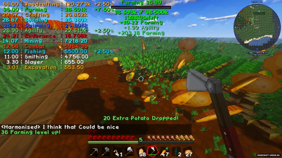 Project MMO — Minecraft mod, rasm 3