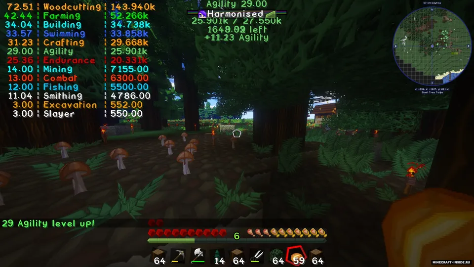 Project MMO — Minecraft mod, rasm 4
