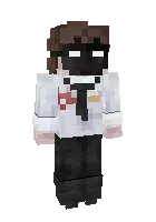 Detektiv Void