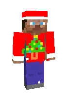 Yangi yil skini