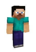 HD steve