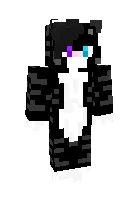 ZIP KAT — Minecraft skin, rasm 1