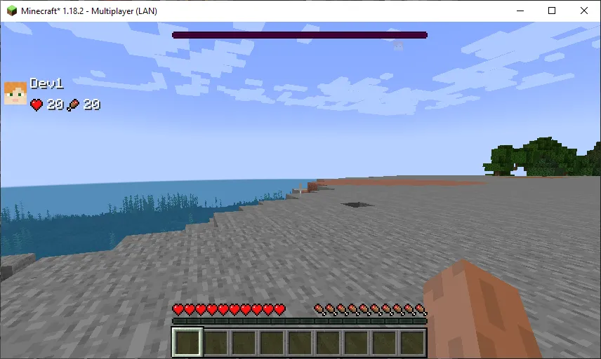Teams HUD — Minecraft mod, rasm 2