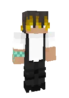 Salvisis — Minecraft skin, rasm 1