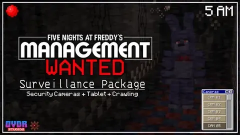 Surveillance Package