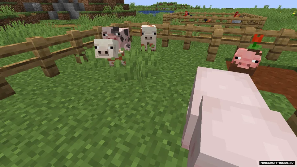 Earth2Java — Minecraft mod, rasm 7